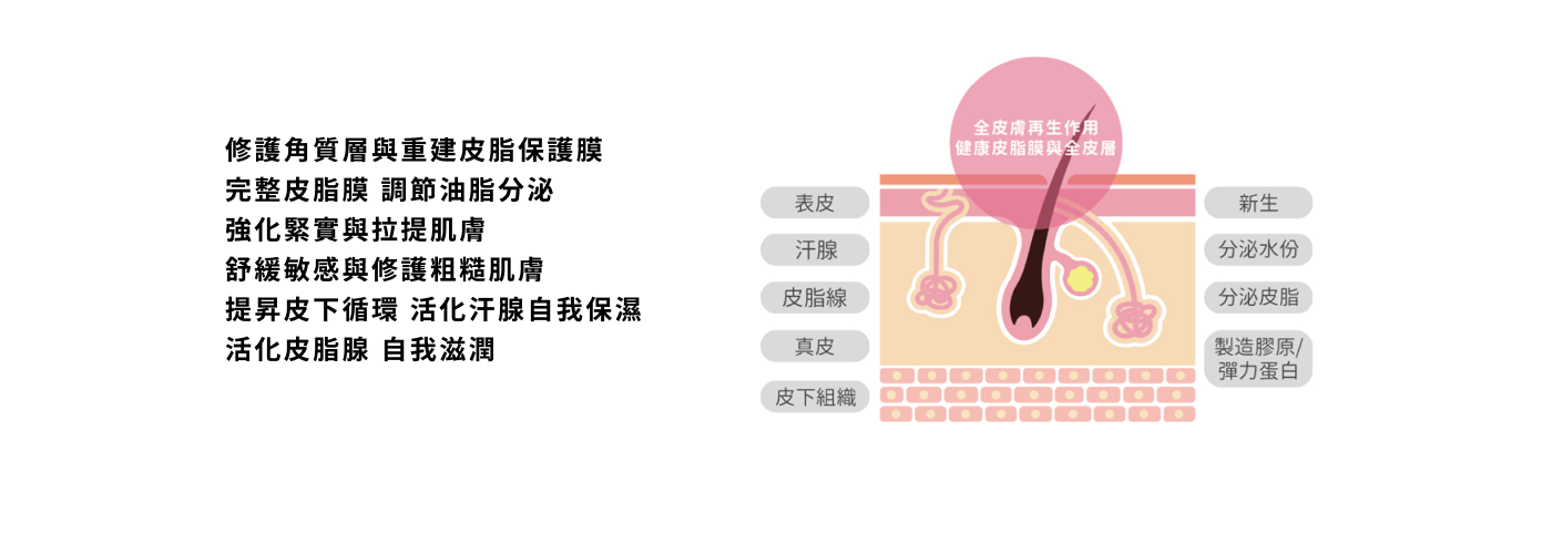 輪播圖片